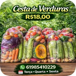 Cesta de verduras🍅🧅🍆🍠🥕🫑🥦🥒