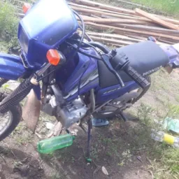 Só Catira tudo taboca