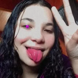 Mete dica