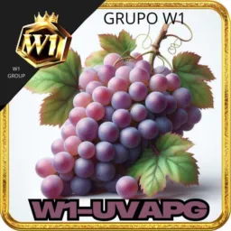 Grupo vip  777 slots