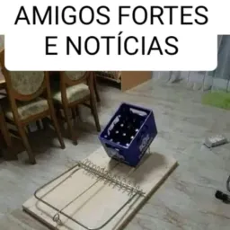 🅰️mig🅾️s ForteS😎 e Notícia📸