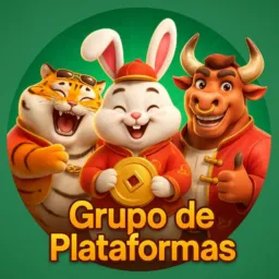 Group de Plataformas 📈💸