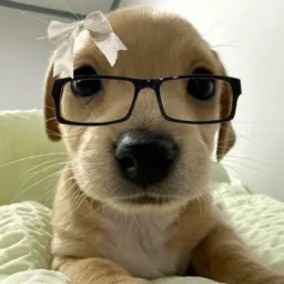 GRUPO PARA AMIGAR