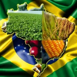 🌱🌾juntos pelo Agro 🌾🌱🌱🌽🌽🌽🌽🌽🌽🌱🌱