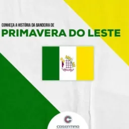 Primavera Só Compra E Venda
