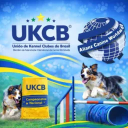 UKCB® FESTIVAL DE AGILIDADE 2026
