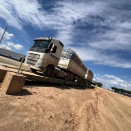 BORGNO -ALGODÃO 2026🚛 BA/MT/MA
