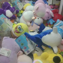 Coruja é a puta que pariu