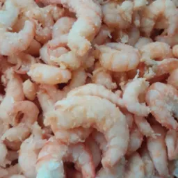Vendas de peixe e camarão