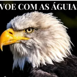 GUARULHOS VENDAS E NEGÓCIOS  🇧🇷
