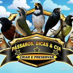 🐦‍⬛CRIADORES DE PÁSSAROS 🐦‍⬛ Belém_Mosqueiro🐦‍⬛
