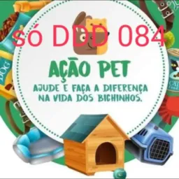 🐕DDD 084 DOAÇÕES DE ANIMAIS 🐈
