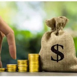 Rey do investimento 😉💰🤩