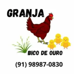 Granja- bico de ouro