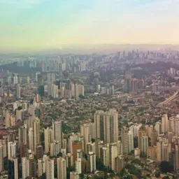 CASTANHEIRAS E REGIÃO