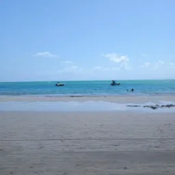 COMPRAR E VENDAS( Tamandaré -Pe)