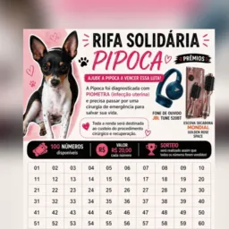 Rifa solidária em prol a cirurgia do Conrado