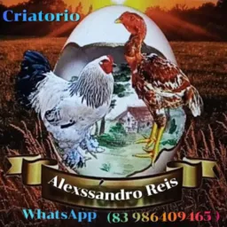 Criatorio Alexssandro Reis vendas de todo tipo de animais , e td sobre agropecuária 🦆🐓🦃🦤🪿🦚🦜🦢🦩