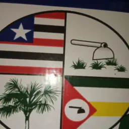 BURITICUPU EM AÇÃO