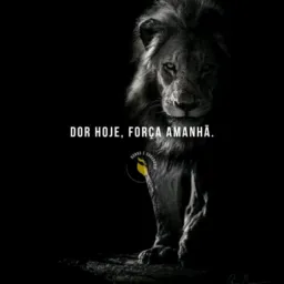 Motivação🕯️💡🔆