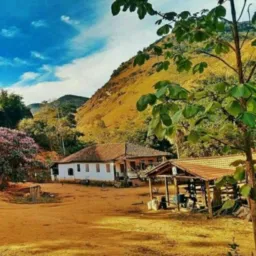 COMPRA E VENDA TUDO DA ROÇA