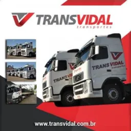 VIDAL SAFRA 2026