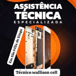 *TÉCNICO WALLISON CELL EM SÃO FÉLIX DO XINGU*