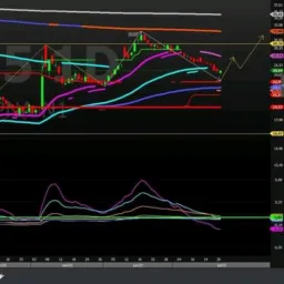 Acesso de investimento está aberto