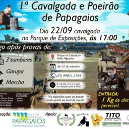 venda, troca de animais🐎🐄