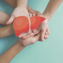 Limpeza Hepática Mais Saúde