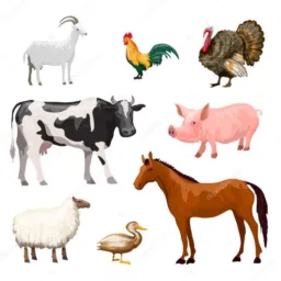 🐓🐣🦆🐔ANIMALES DE GRANJA COMPRA-VENTA -PERMUTAS 🐎🐄🐑🐇