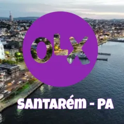 OLX Vendas e trocas STM 🛍️💜✨