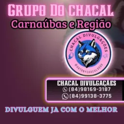 Vendas Carnaúba e região