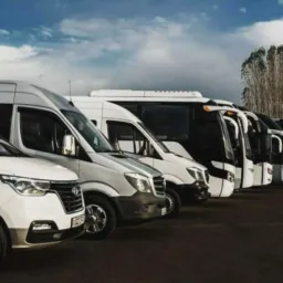 Excursões, Vendas e Negocios.