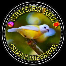 Sibiteros Raiz 🕊️🕊️
