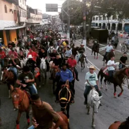 Macaé, Cavalos, e agricultura, notícias 🐎🤠