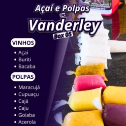 Box 05 do Açaí e polpas de frutas do Vanderley.🍍🍇