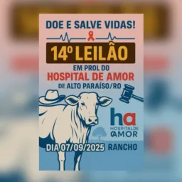 14° Leilão Alto Paraíso - HA 🩷💙🐂