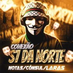 conexão S7 DA NORTE #2