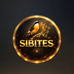 Criadores raiz