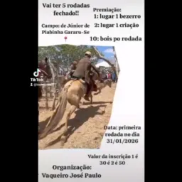 2: BOLÃO DE PEGAR DE BOI NO MATO 💥✊🏻