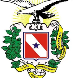 Links vendas belem ananideua marituba
