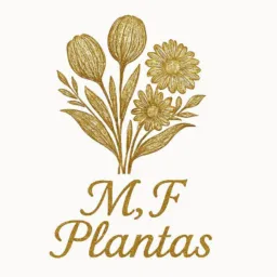 Vendas e trocas de plantas em geral 🌱🪴🌲🌻🌴🌵🌷⚘🌿