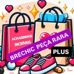 BreChic Peçarara plus roupas novas e semi novas