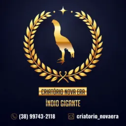 🔥🧬SUPER RIFA CRIATÓRIO NOVA ERA 🧬🔥