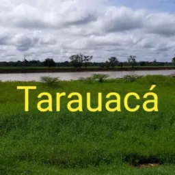 Só links de grupos tk