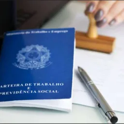 EMPREGO EM PALMEIRAS 📝📝📑🖊️🗂️🖊️🗂️