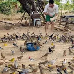 🐦‍⬛13 Grupo🐦‍⬛ para 🐦‍⬛ pássaro e 🐦‍⬛gaiola 🐦‍⬛