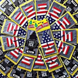 Little Trees 🌲$5,00 CD