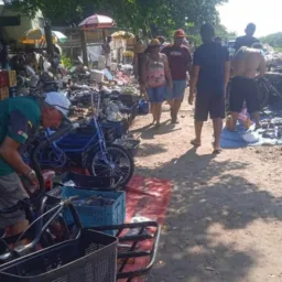 Compras e venda cipó Bahia